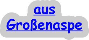 aus Großenaspe